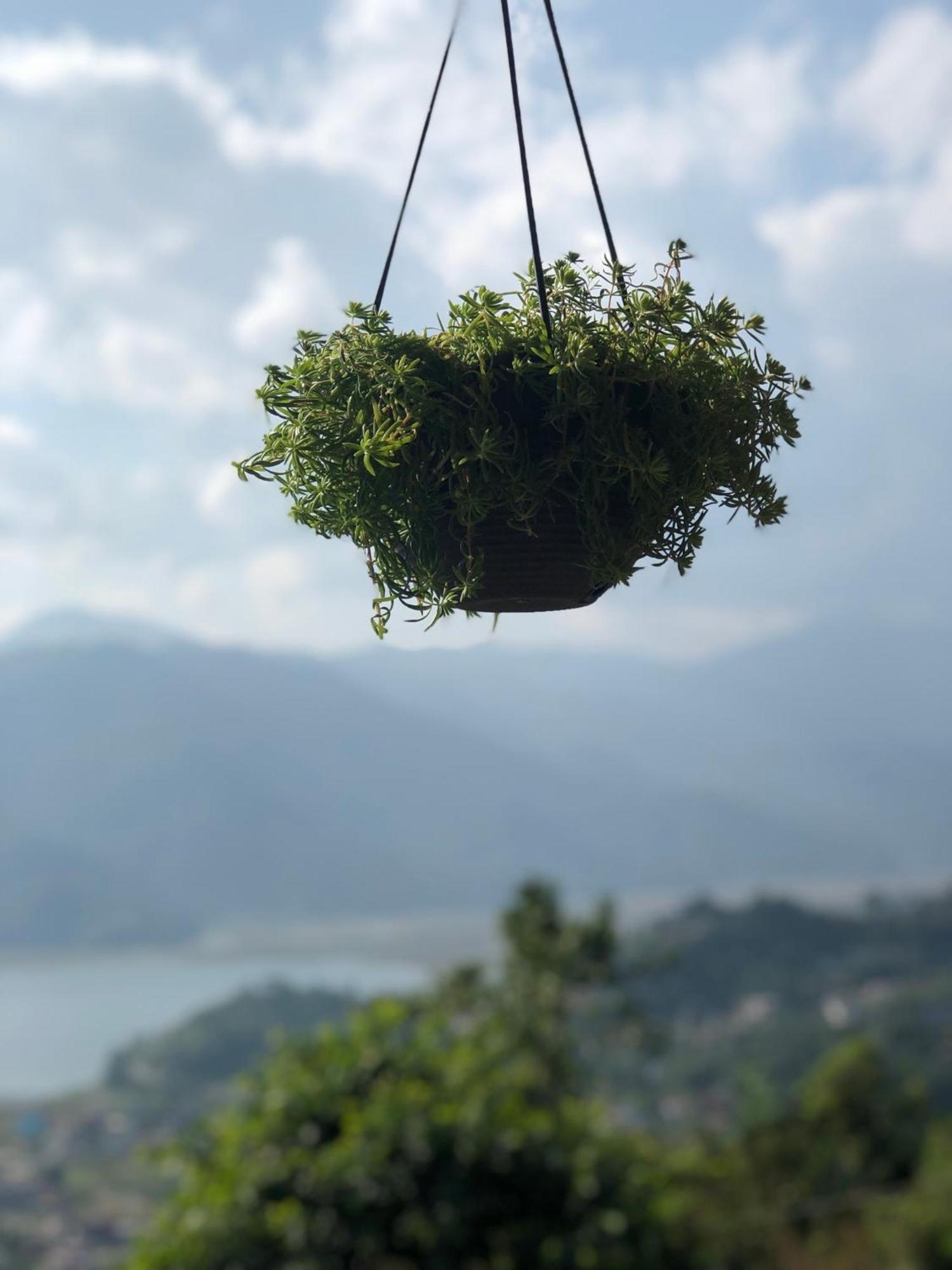 Into The Wild Pokhara Villa Kāskī Kültér fotó